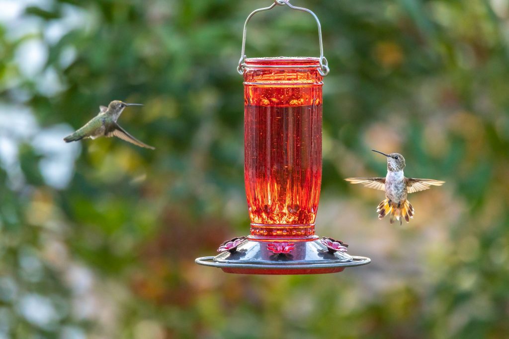 Kingsyard red hummingbird feeder 7289 1