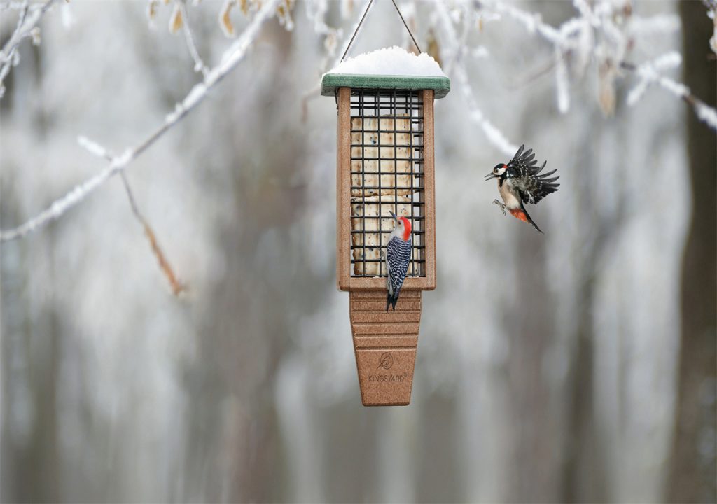 On a snowy branch hangs a bird feeder, which provides much convenience for two birds who are looking for food.