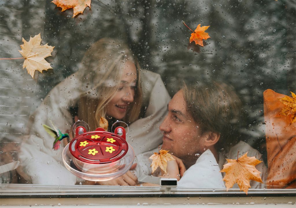 A couple are admiring the rainy scene in front of the window, with fallen leaves and a bird feeder around.