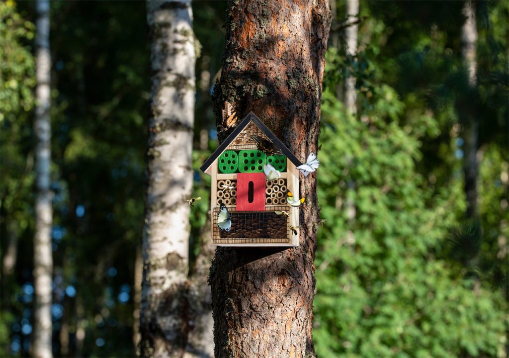 1 kinsyard  feeder was placed in the tree, with butterflies flying around it.