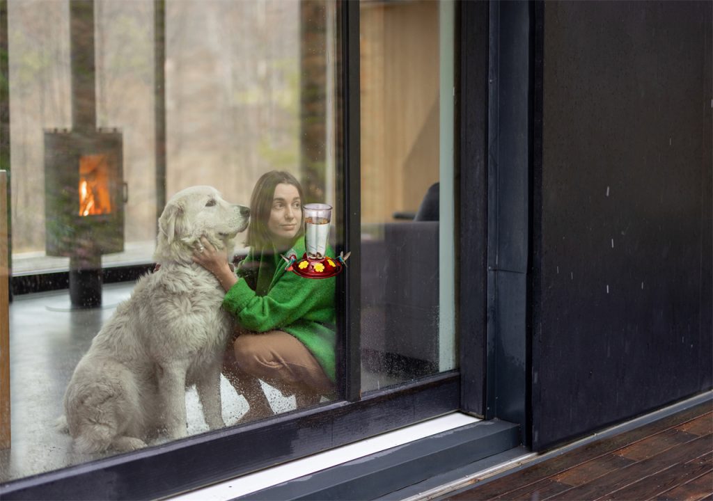 A woman and her puppy are looking out the window at the bird feeder in a daze.